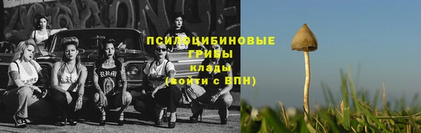 мескалин Няндома