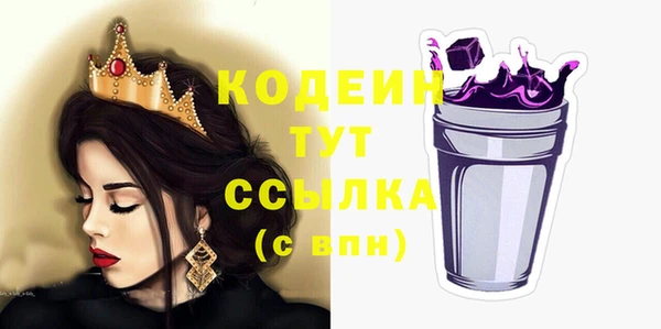 СК Новозыбков