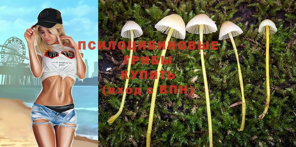 мескалин Няндома
