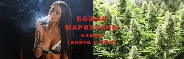 мдпв Новодвинск