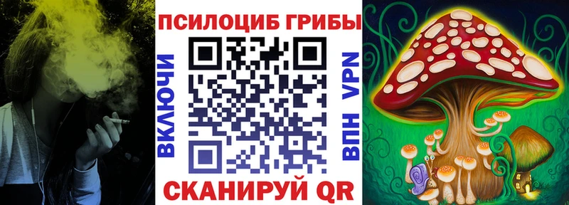 как найти закладки  Мосальск  Псилоцибиновые грибы ЛСД 